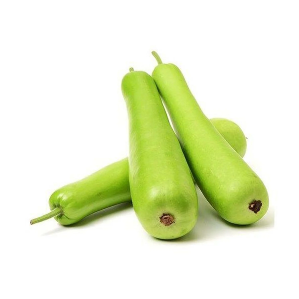 Fresh Bottle gourd – 500 Grams