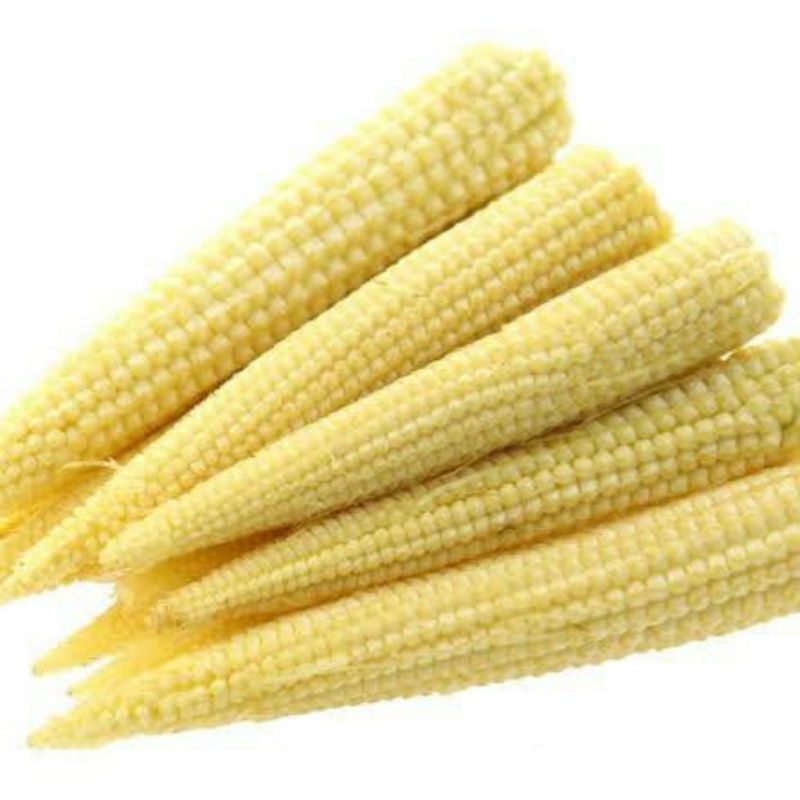 Fresh Baby Corn (Pre packed) – 100 Grams