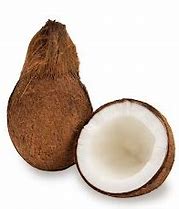 Fresh Coconut with Husk 1 Stk