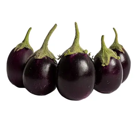 Small Brinjal 500 Grams