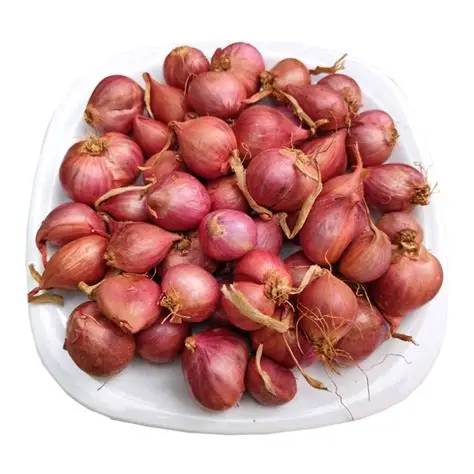 Small Onions 250 Grams