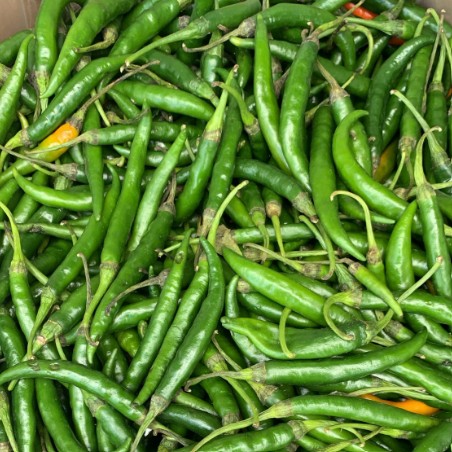 Fresh Green Chillies – 250 Grams