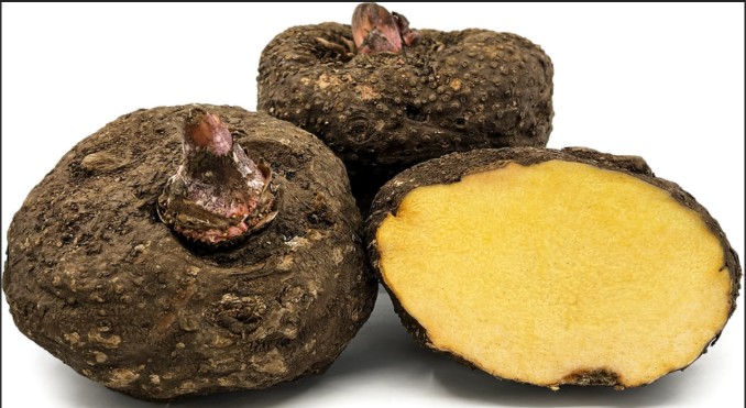 Suran/Kanda/Chenai kizhangu – 1Kg