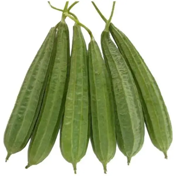 Ridge gourd | Turai | Teroi – 500 Grams