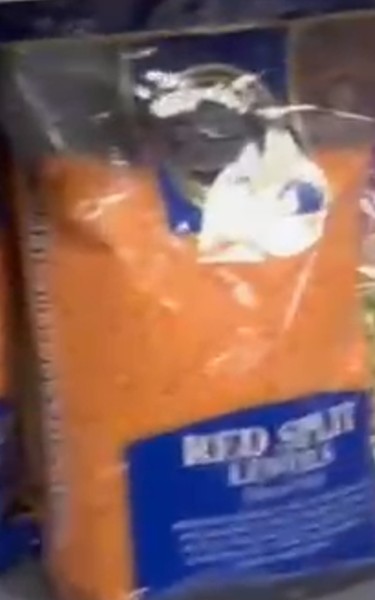 TRS Red Split Lentils